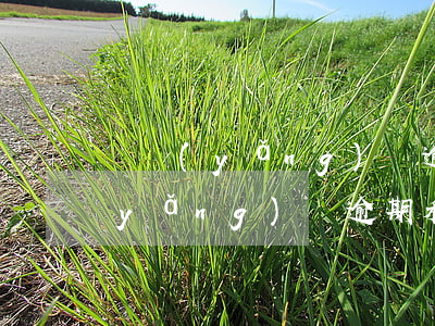 撫養(yǎng)費逾期可以起訴嗎(撫養(yǎng)費逾期利息)