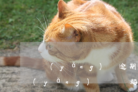 撫養(yǎng)費逾期多長時間起訴(撫養(yǎng)費糾紛起訴后多久可以判決)