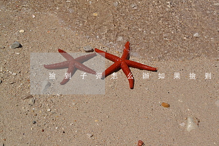 撿到子彈怎么辦(如果撿到槍了怎么辦)