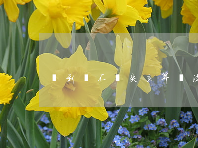 撿到錢不還失主算違法嗎