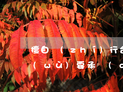 擅自執(zhí)行合伙企業(yè)事務(wù)要承擔(dān)的賠償責(zé)任有哪些