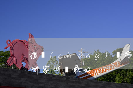 擅長(zhǎng)離婚的律師(離婚的律師哪家律師最好)