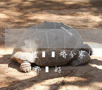 擅長離婚分家律師哪個好(擅長離婚分家律師哪個好)