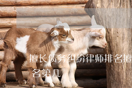 擅长债务纠纷律师排名(擅长债务纠纷律师排名第几)