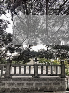 擔(dān)保人信用卡逾期可以擔(dān)保么(擔(dān)保人征信逾期可以做擔(dān)保嗎)
