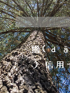 擔(dān)保人有逾期能申請(qǐng)信用卡(信用卡逾期可以做擔(dān)保人嗎)