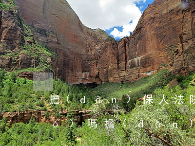 擔(dān)保人法院起訴可以出國(guó)嗎(擔(dān)保人自己可以出國(guó)么)