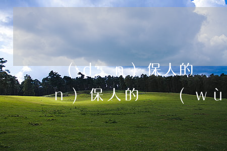 擔(dān)保人的義務(wù)(擔(dān)保人的義務(wù)和責(zé)任)