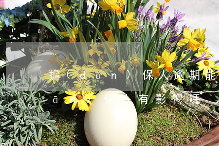 擔(dān)保人逾期能貸款嗎(逾期擔(dān)保人有影響嗎)