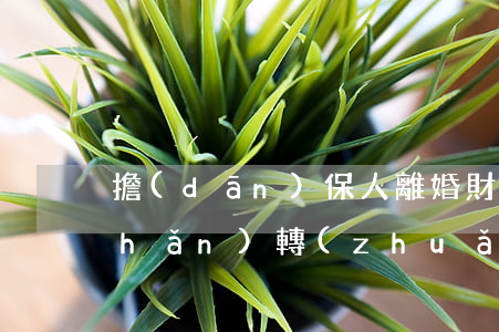 擔(dān)保人離婚財(cái)產(chǎn)轉(zhuǎn)移