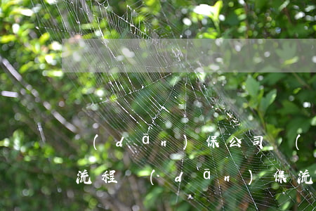 擔(dān)保公司業(yè)務(wù)流程(擔(dān)保流程和手續(xù))