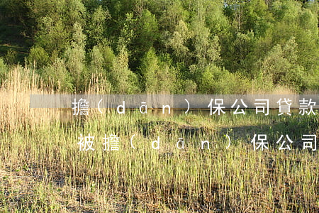 擔(dān)保公司貸款逾期化解(貸款逾期被擔(dān)保公司起訴)