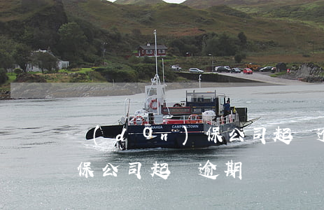 擔(dān)保公司起訴逾期(擔(dān)保公司起訴逾期)
