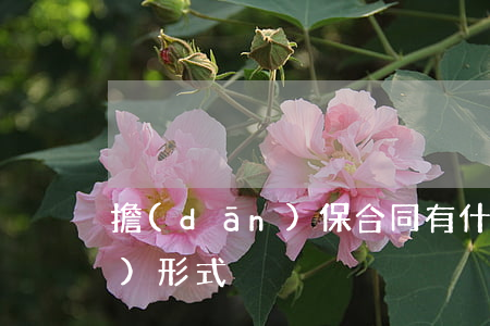 擔(dān)保合同有什么表現(xiàn)形式