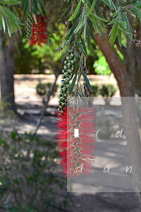 擔(dān)保未還款逾期怎么辦(幫人擔(dān)保貸款,對(duì)方逾期未還怎么辦)