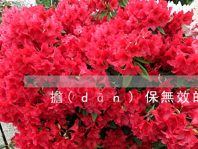 擔(dān)保無效的法律后果是什么