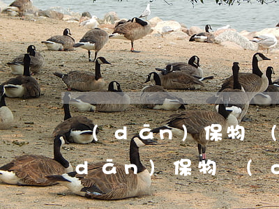 擔(dān)保物權(quán)包括(擔(dān)保物權(quán)包括)