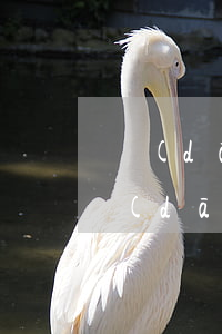 擔(dān)保物權(quán)與債的擔(dān)保的區(qū)別