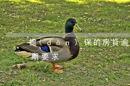 擔(dān)保的房貸逾期處理辦法(房貸逾期要求)