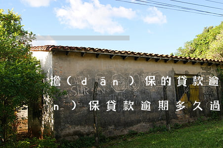 擔(dān)保的貸款逾期2年了(擔(dān)保貸款逾期,多久過訴訟期)