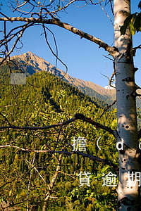 擔(dān)保的車貸逾期被起訴怎么辦（車貸逾期銀行起訴擔(dān)保人怎么辦）