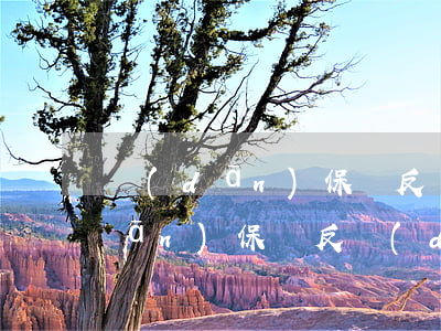 擔(dān)保與反擔(dān)保(擔(dān)保與反擔(dān)保)