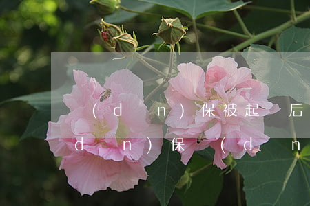 擔(dān)保被起訴后離婚有影響嗎?擔(dān)保(擔(dān)保人如果離婚了 擔(dān)保還有效嗎?)