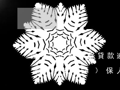 擔(dān)保貸款逾期多久上征信(銀行貸款擔(dān)保人征信有逾期能下款嗎)