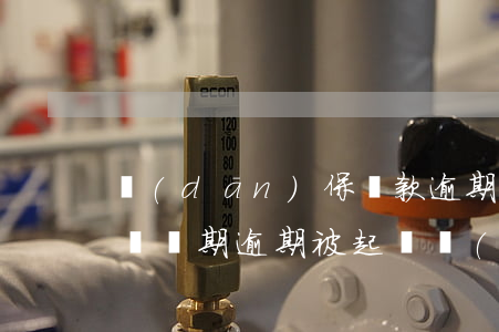 擔(dān)保貸款逾期,多久過(guò)訴訟期（逾期被起訴執(zhí)行貸款和擔(dān)保）
