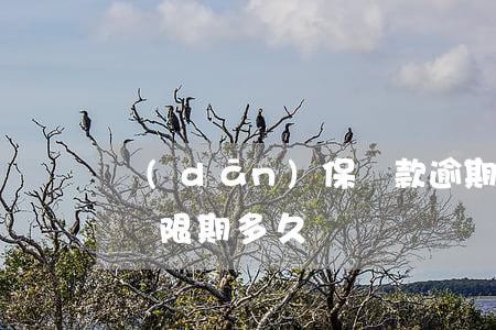 擔(dān)保貸款逾期寬限幾天(貸款逾期寬限期多久)