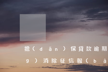 擔(dān)保貸款逾期怎么申請(qǐng)消除征信報(bào)告（征信逾期保證書(shū)）