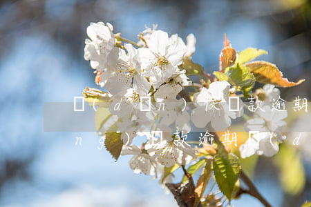 擔(dān)保貸款逾期注意事項(xiàng)(貸款逾期擔(dān)保人怎么辦)