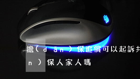 擔(dān)保追償可以起訴共同擔(dān)保人家人嗎