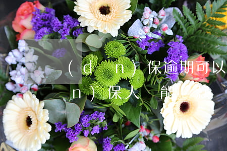 擔(dān)保逾期可以貸款買車嗎(擔(dān)保人還能貸款買車嗎)
