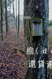 擔(dān)保逾期已還公積金貸款(公積金還貸逾期該怎么辦)