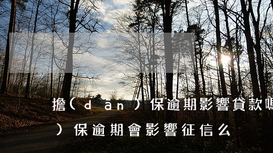 擔(dān)保逾期影響貸款嗎(擔(dān)保逾期會影響征信么)