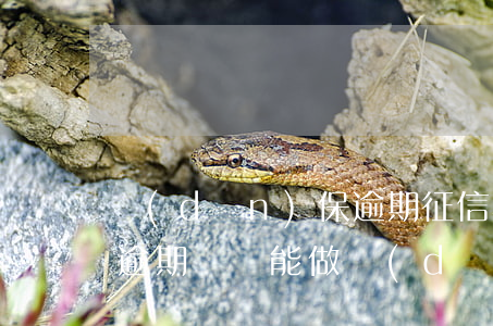 擔(dān)保逾期征信不良記錄嗎(征信有逾期記錄能做擔(dān)保人嗎)