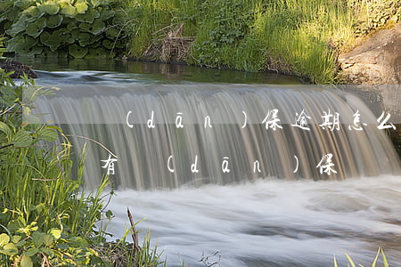 擔(dān)保逾期怎么查是誰(怎么查是否有擔(dān)保記錄)