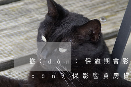 擔(dān)保逾期會影響買房貸款(有擔(dān)保影響買房貸款申請嗎)