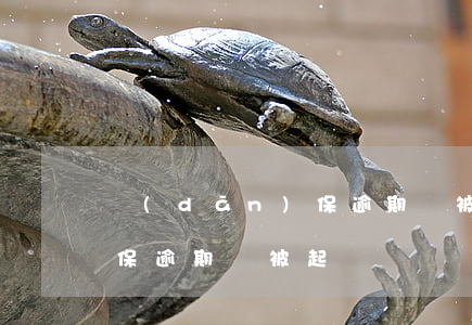 擔(dān)保逾期沒被起訴（擔(dān)保逾期沒被起訴）