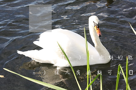 擔(dān)保逾期的能再貸款嗎(擔(dān)保人有逾期可以擔(dān)保嗎)