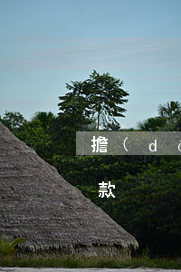 擔(dān)名貸款被逾期怎么辦(有逾期貸款)
