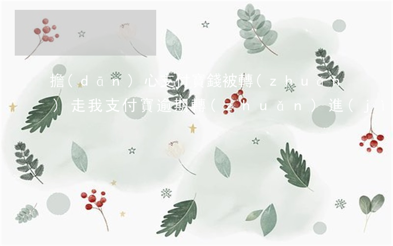 擔(dān)心支付寶錢被轉(zhuǎn)走（我支付寶逾期轉(zhuǎn)進(jìn)去錢）