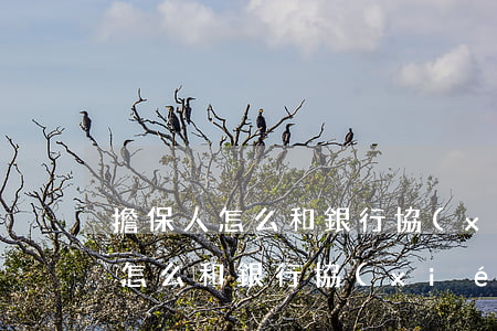 擔保人怎么和銀行協(xié)商-擔保人怎么和銀行協(xié)商付一部分責任