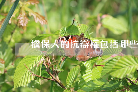 擔保人的抗辯權包括哪些類型