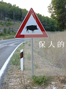 擔保人的義務(擔保人的義務是什么)