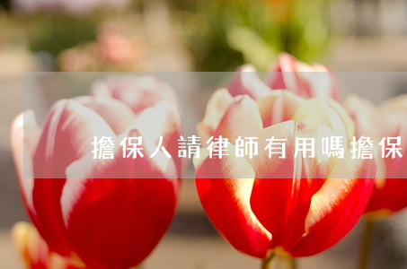 擔保人請律師有用嗎(擔保人有什么影響)