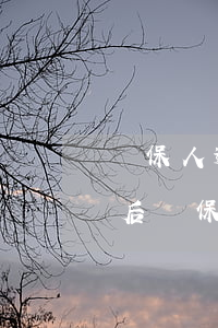 擔保人逾期起訴后會怎么處罰(貸款逾期起訴后擔保人有影響嗎)