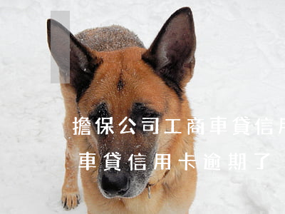 擔保公司工商車貸信用卡逾期(擔保公司工商車貸信用卡逾期了)