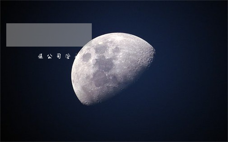 擔保公司管理辦法